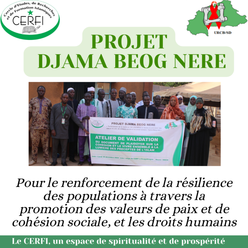 presentation_dbn – CERFI